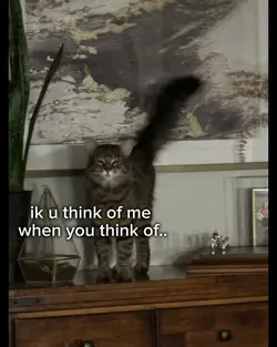 when you think of me