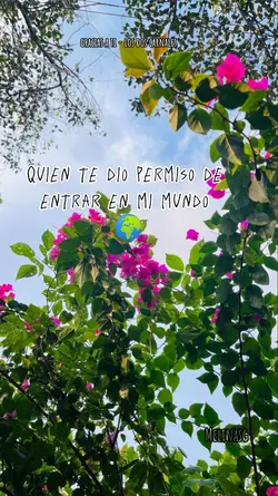 gracias a ti 