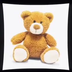 Teddy bear meme