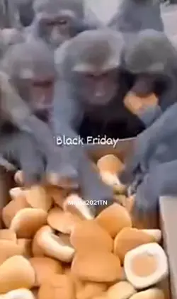 black Friday 