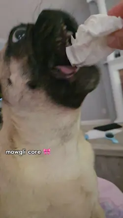 mowgli core!!