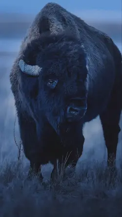 Winter 🥶 