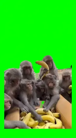 Going bananas