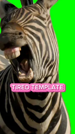 Tired Template