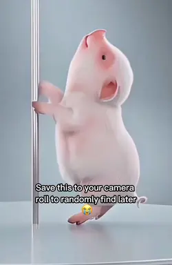 Pig dance