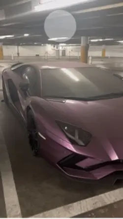 Purple lamborghini