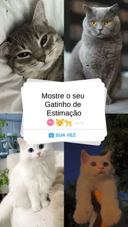 sua vez
