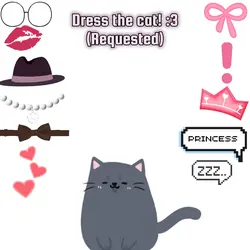 Dress the cat!