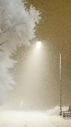 Snowfall 