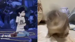 Deku 