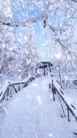Snow scene