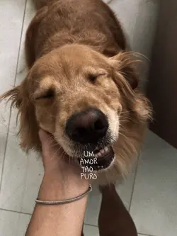 um amor tão puro