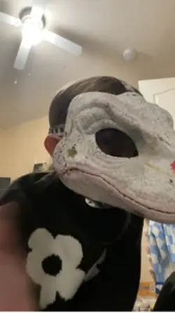 New mask