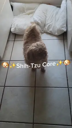 Shih-Tzu Core