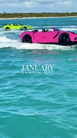 January dump 