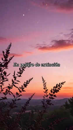 Peligro DeExtinción❣️