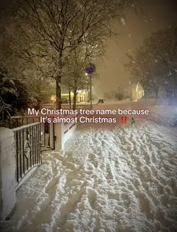 Christmas tree name 