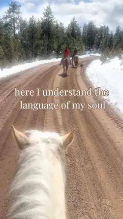 A Free Soul