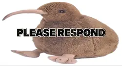 Kiwi Waiting 
