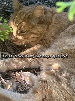 Quit