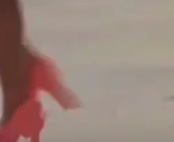 Meme