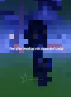 I didn’t steal this 