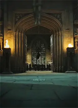 HARRY POTTER 