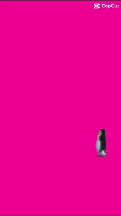 penguin dance meme