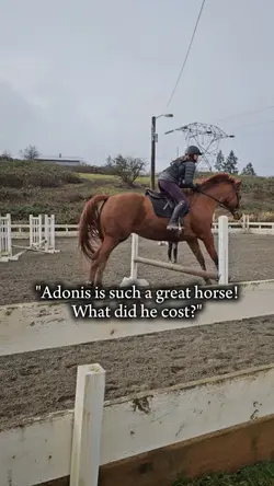 he cost everything 