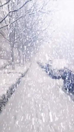 Snow scene