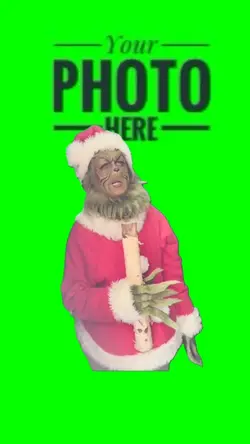 The Grinch 