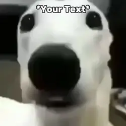 Scared Dog Meme