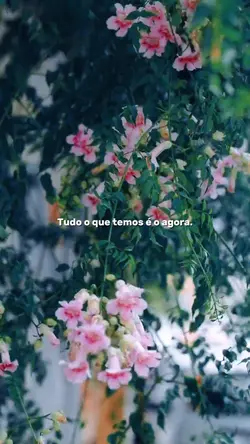 Frase-status 