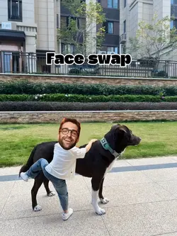 Face swap