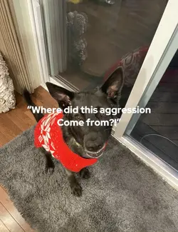 I do bite 😍