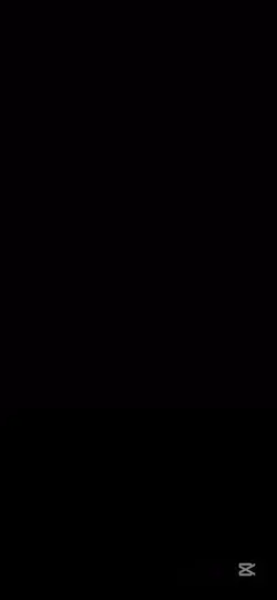 pp 4