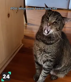 Brain freeze 