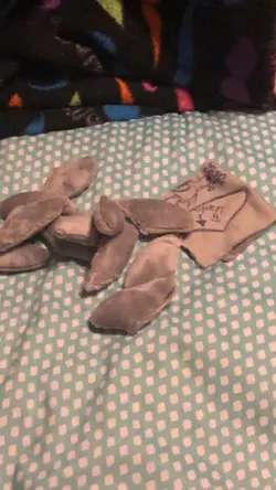 MAKING PAWS
