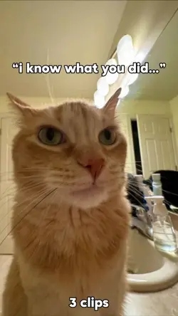 fun pet edit 