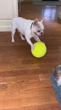 Neo 😭 