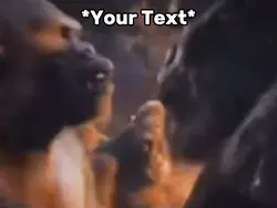 Monkey Meme