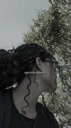 Querido Diário...