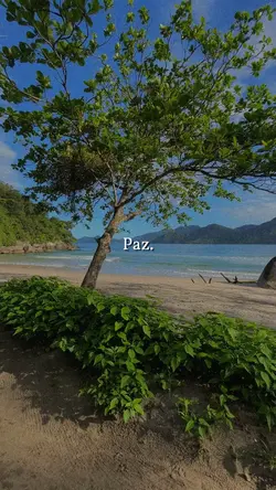 Paz