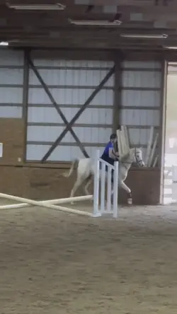 Leg yields 