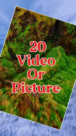 20 video or picture