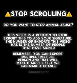 stop scrollin