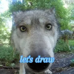 let's draw pt 7 