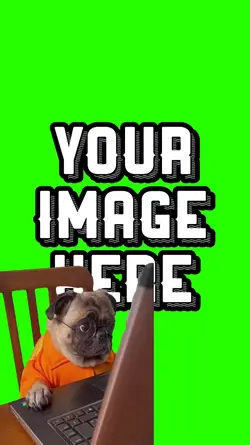 Dog on computer
