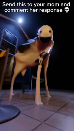 Cow Dance