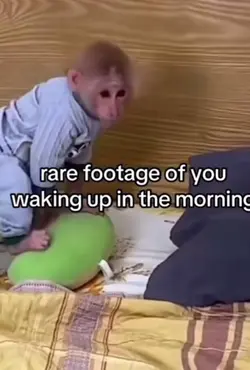 Wake u
